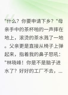 免费试读主角王大山晓峰赵梅子小说