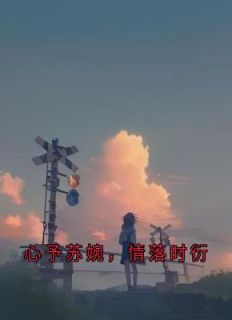 【抖音】小说心予苏婉，情落时衍无广告阅读
