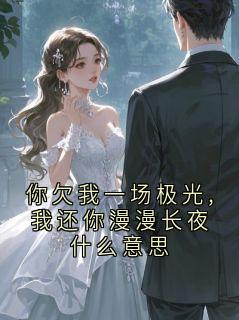 主角裴聿修宋若木 小说你欠我一场极光,我还你漫漫长夜什么意思在线阅读