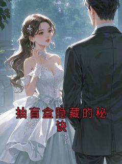 抽盲盒隐藏的秘诀全本章节阅读